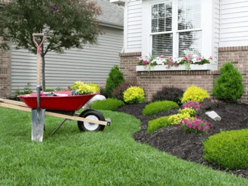 Ross Township Property Maintenance