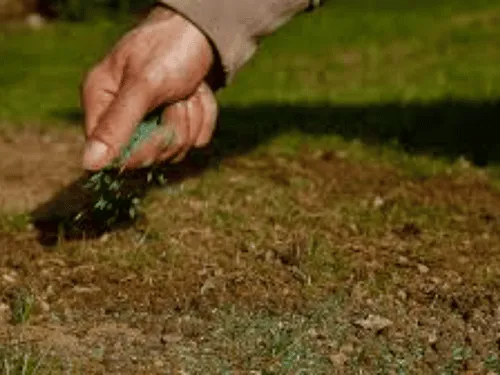  Residential Property Services