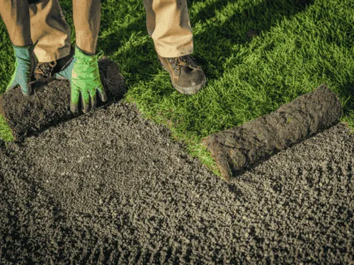 Commercial Property Services