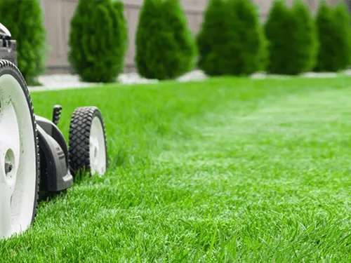 Dethatching in Pittsburgh