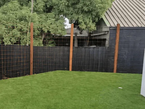 Dethatching in Pittsburgh