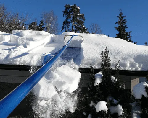 Shaler Township Property Maintenance