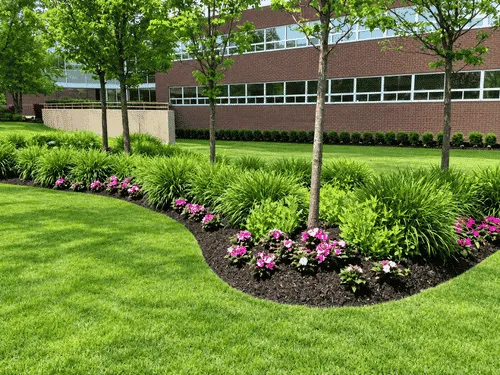 Lawn Aeration in Pittsburgh