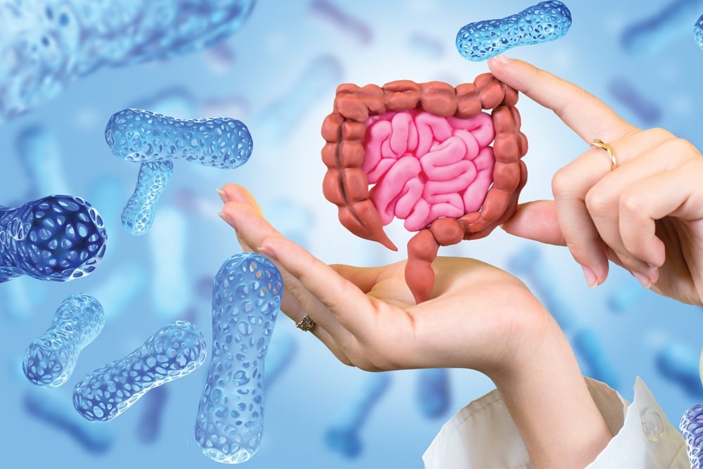 How Thyroid Hormone Replacement Therapy Affects Your Gut Health