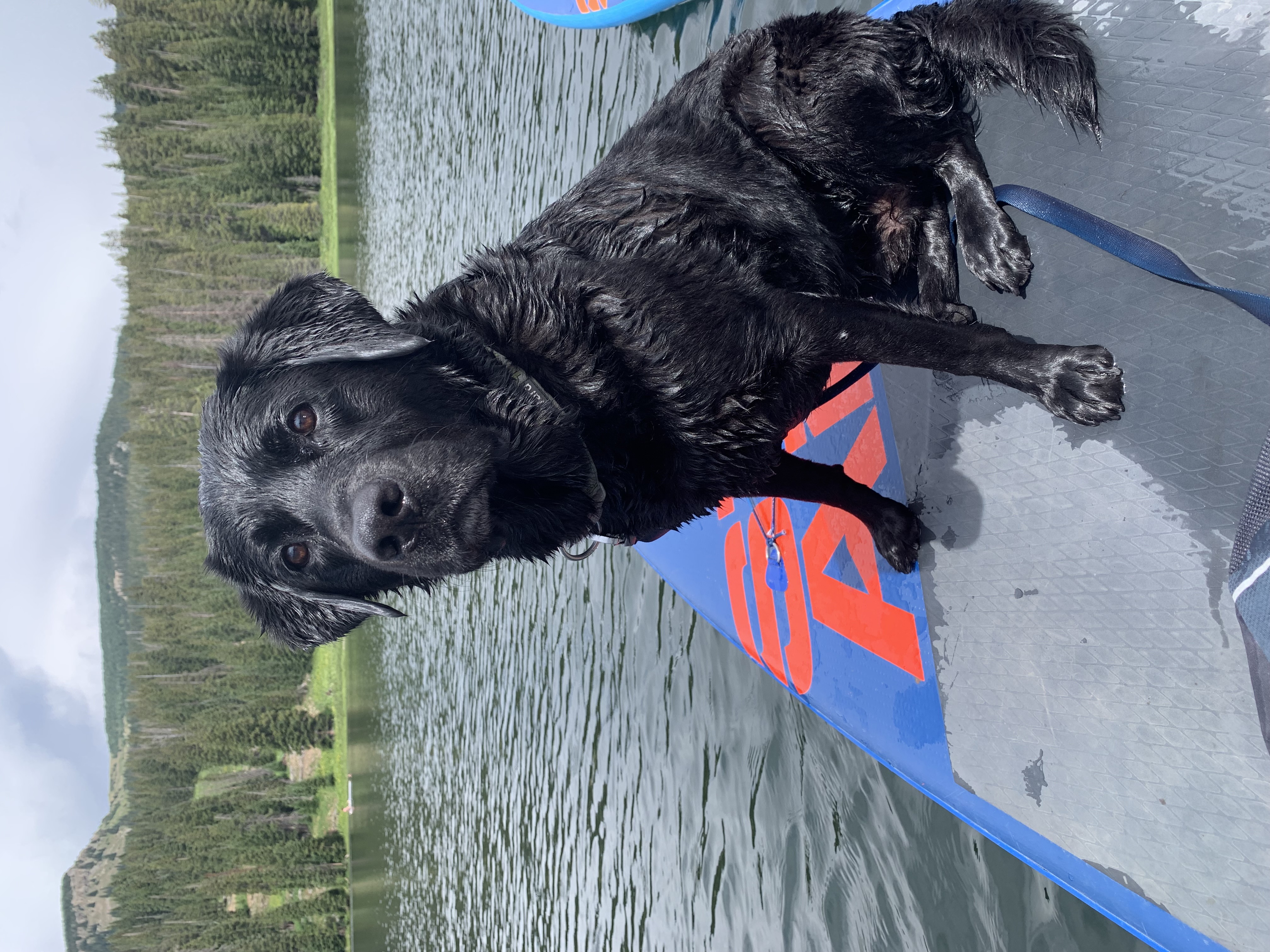Best Lakes for Paddleboarding Near Crested Butte
