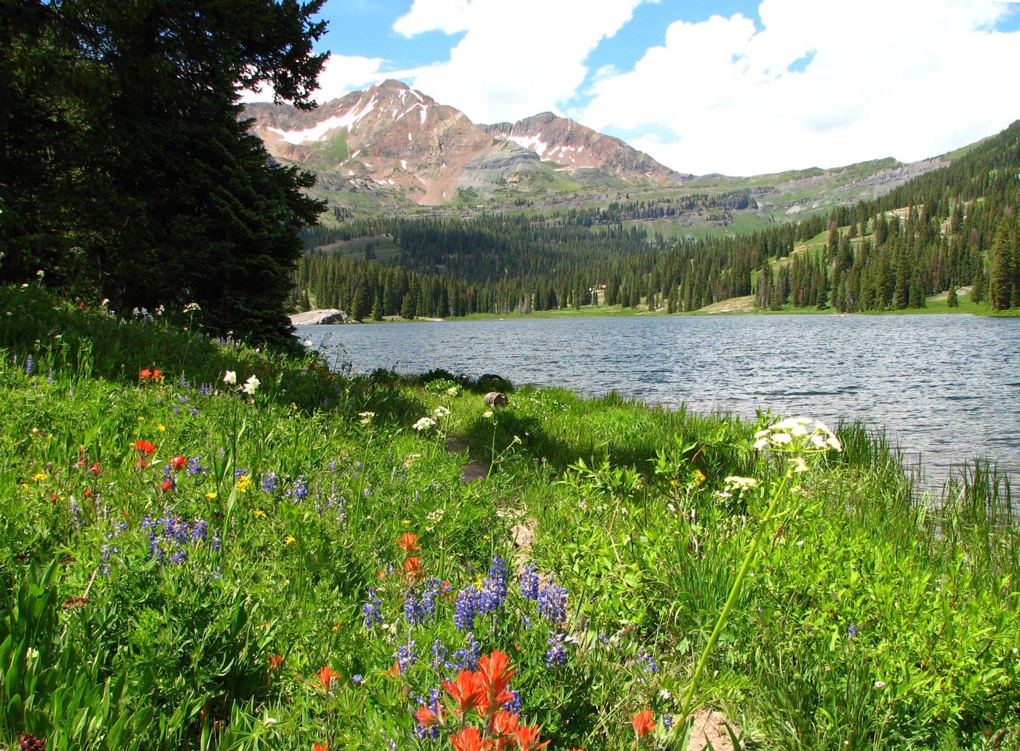 Paddle Board Delivery in Crested Butte: How to Skip the Rental Shop Hassle by Avoiding the Mistakes Most Visitors Make