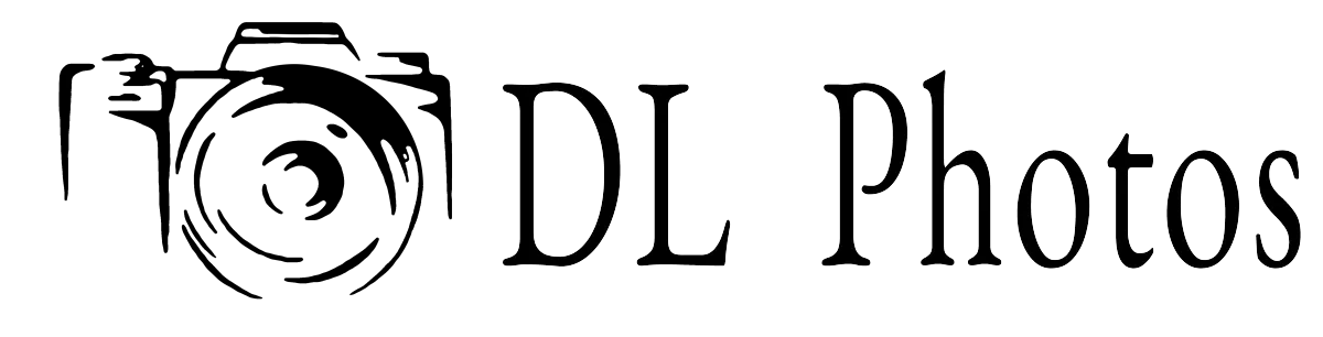 DL Photos Logo