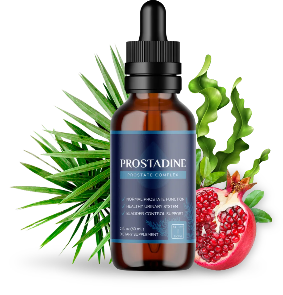 prostadine official website