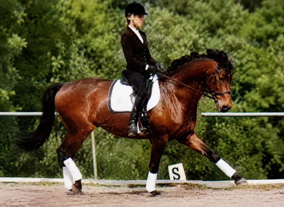 a man riding on the back of a white horse