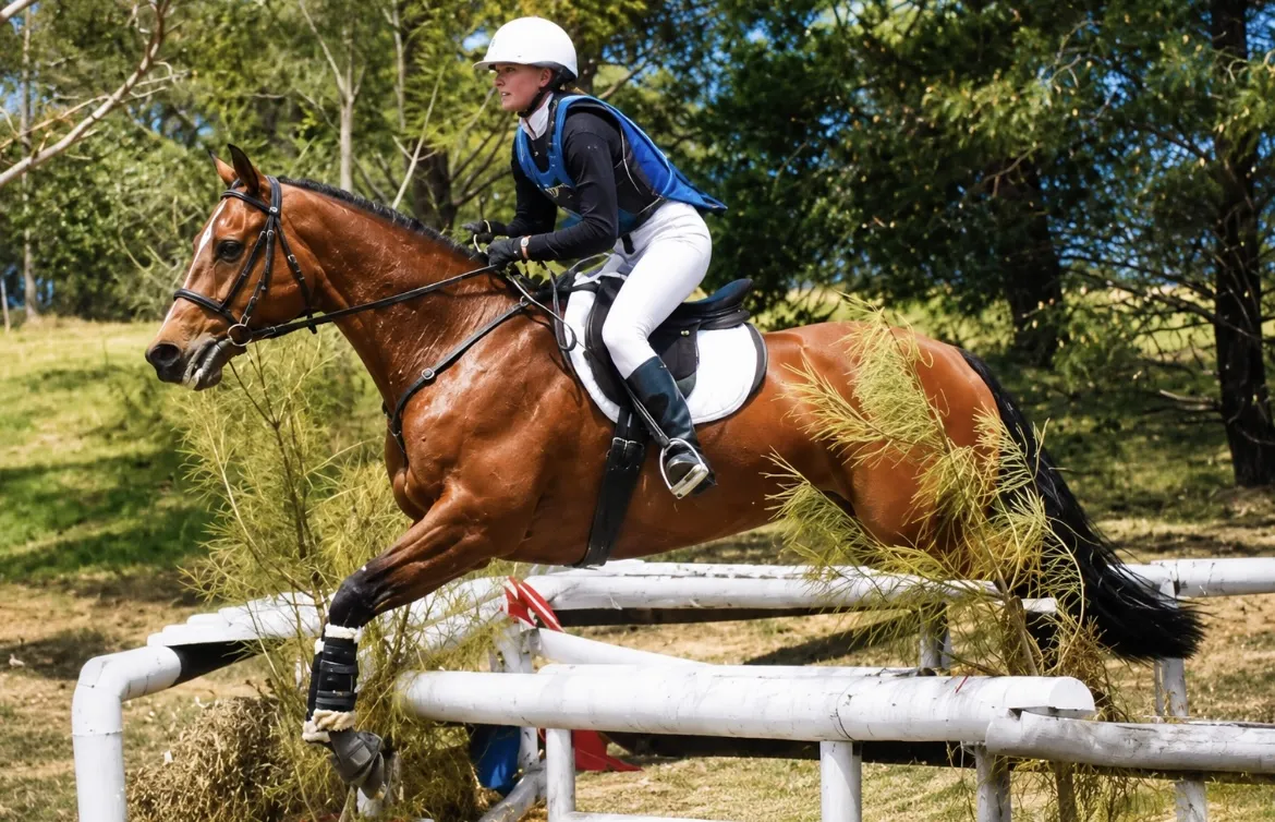 a man riding on the back of a white horse