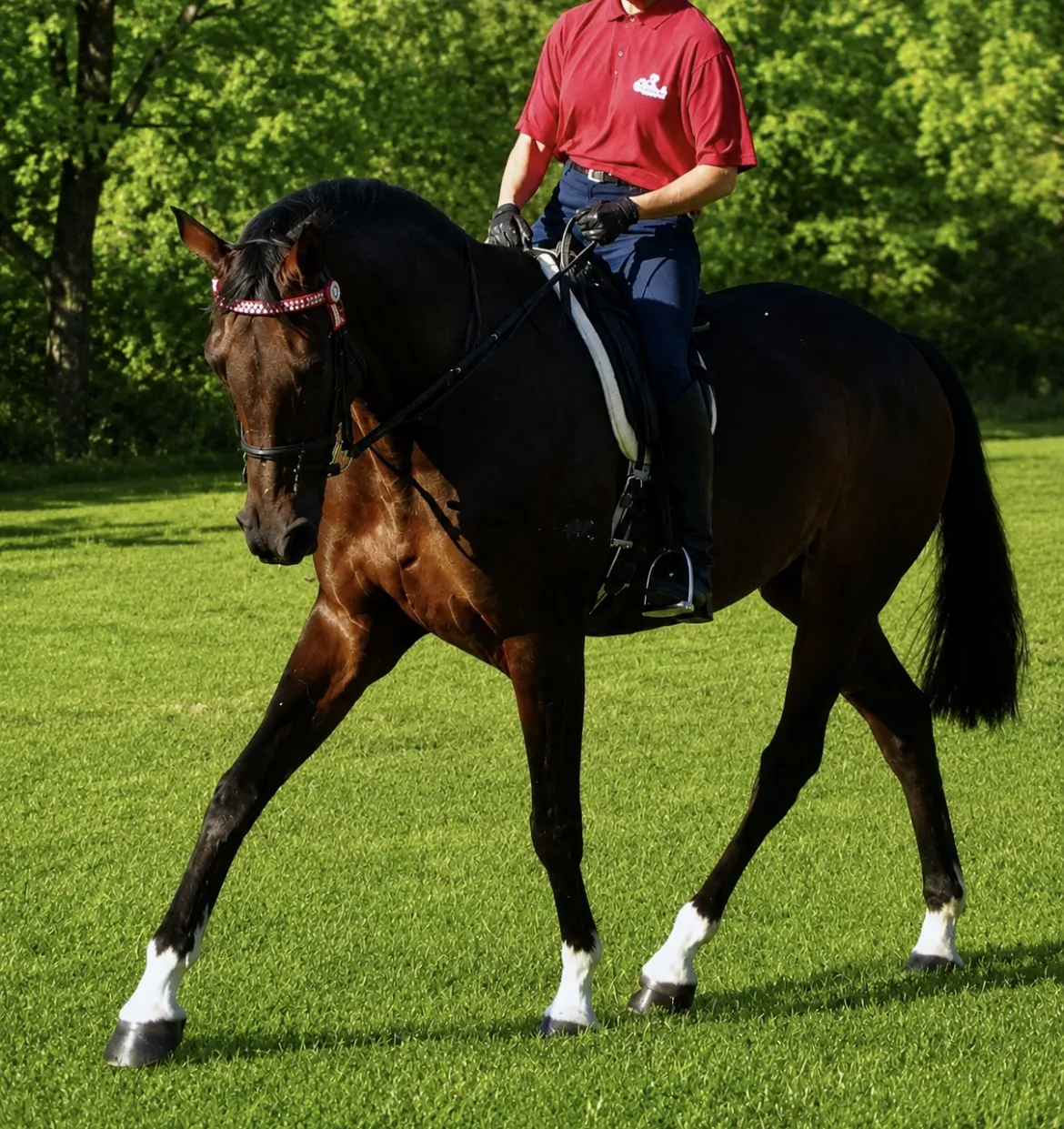 a herd of horses standing on top of a lush green field