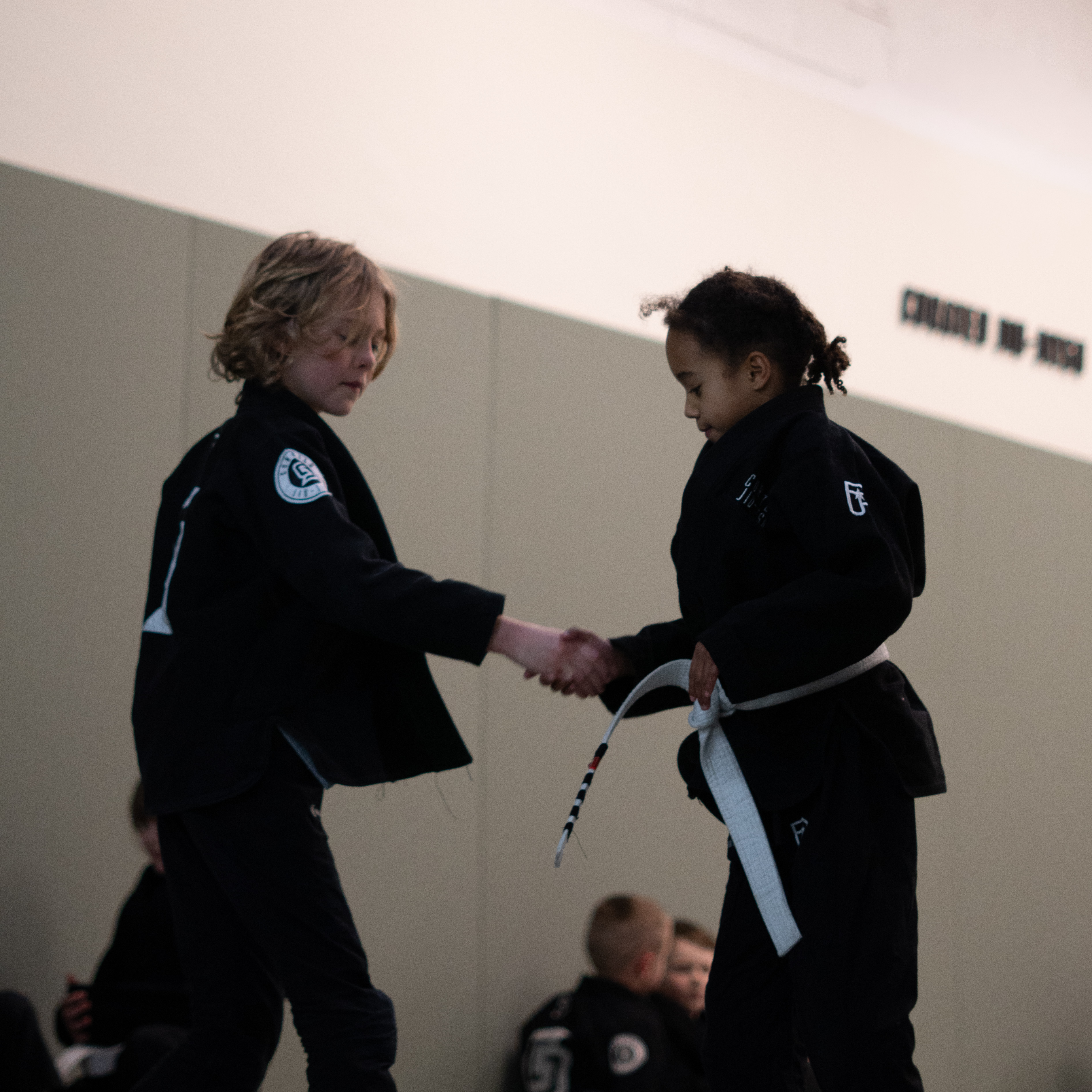 Martial Arts for age 7-9 in Huddersfield