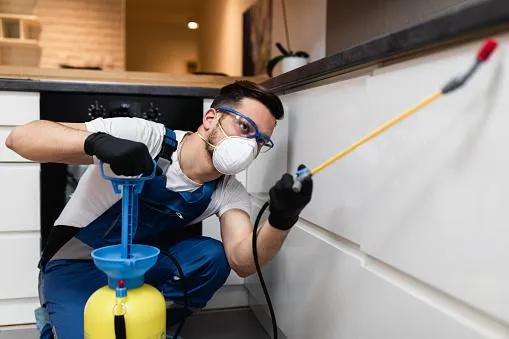 a pest control technician spraying underneath a kitchen counter for pests