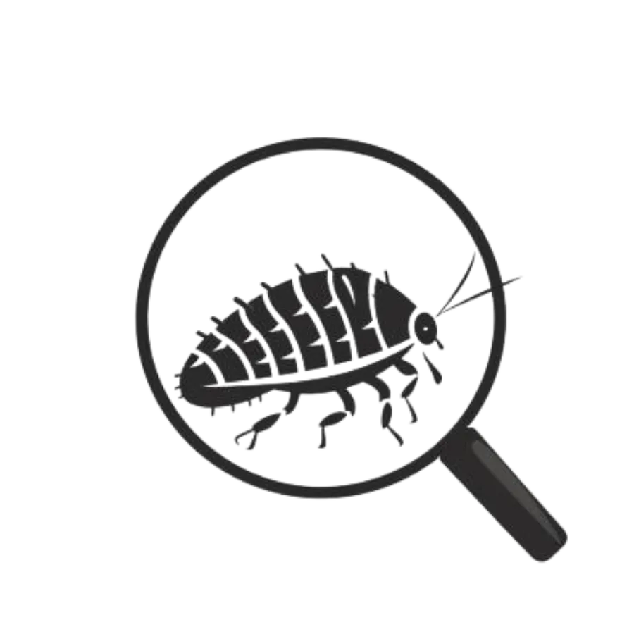 sow bug underneath a magnifier