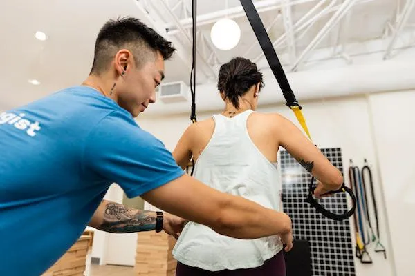 white and purple flowers