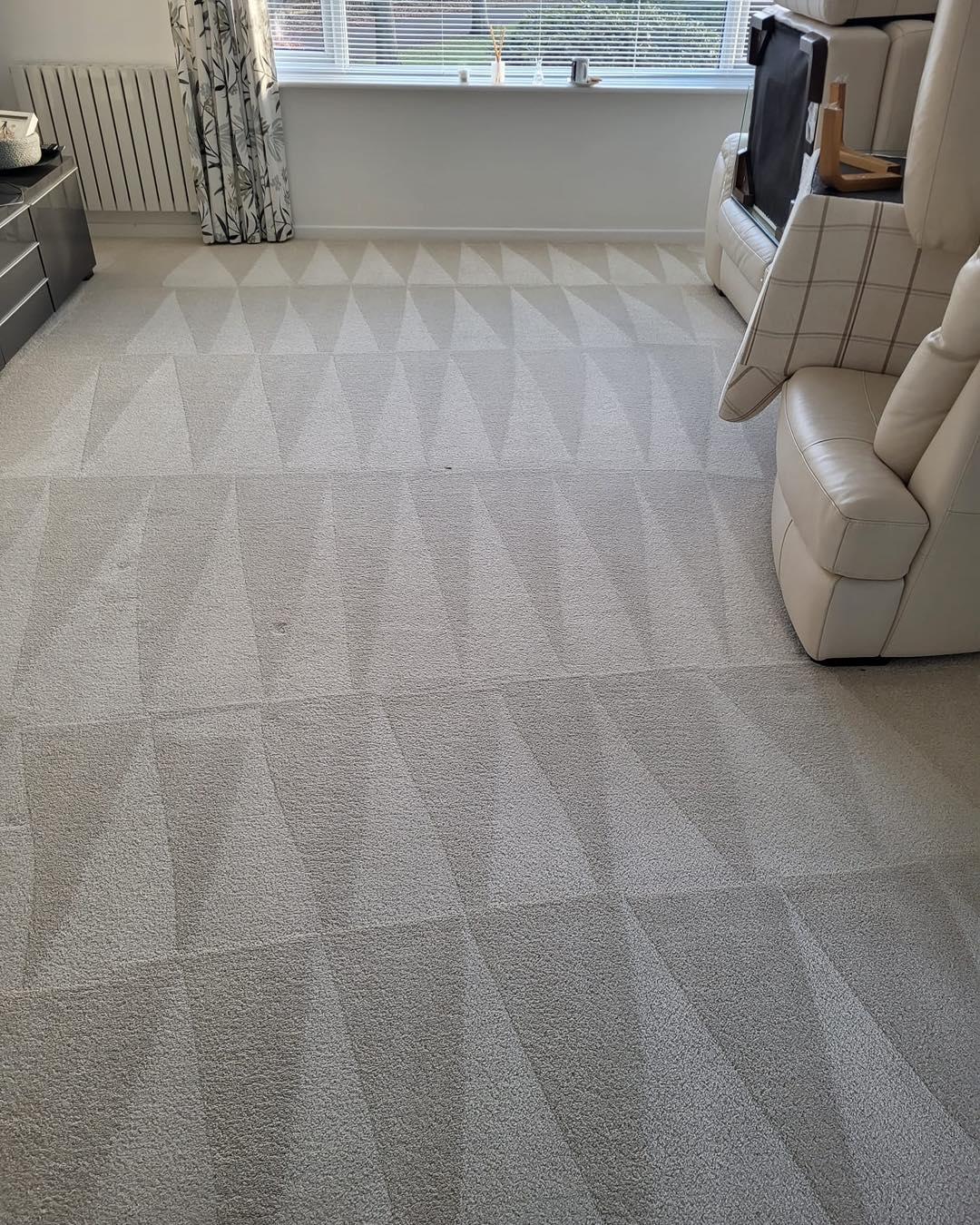 Carpet after Paul has cleaned it with the 8 step process
