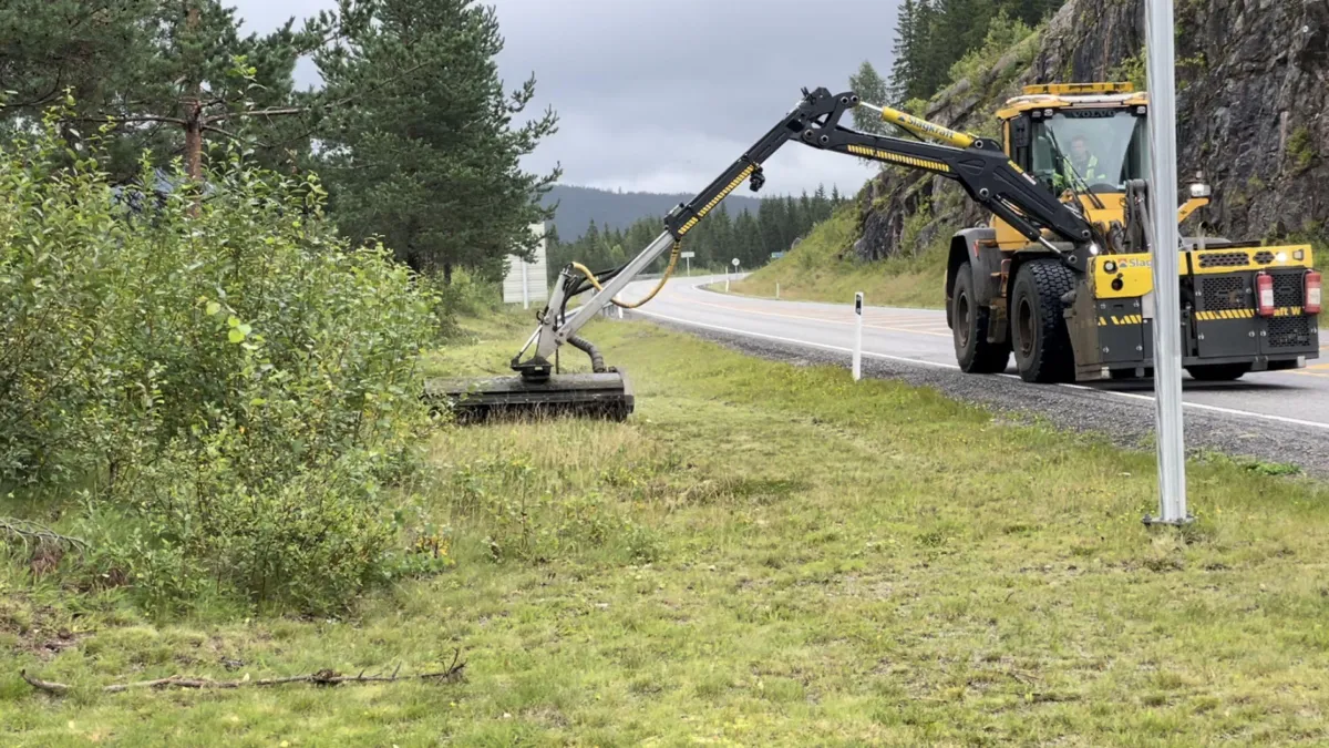 Kantslått langs hovedvei