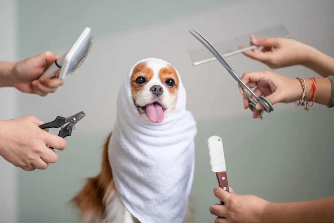 a couple of women wearing santa hats