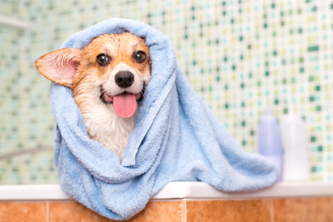 person holding amber glass bottle