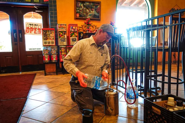 Ant Control in Humble, TX