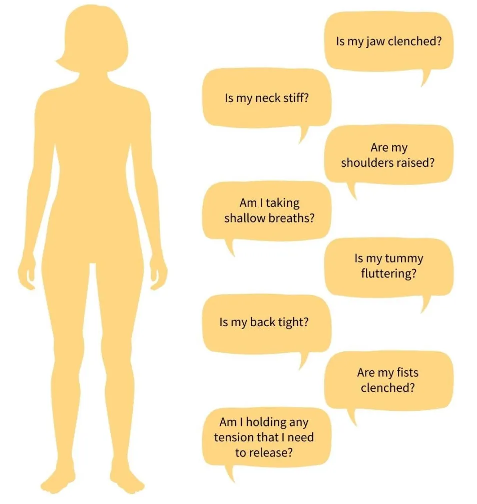 Body Scan Image