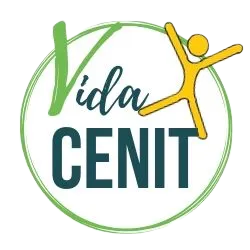 Vida Cenit Logo