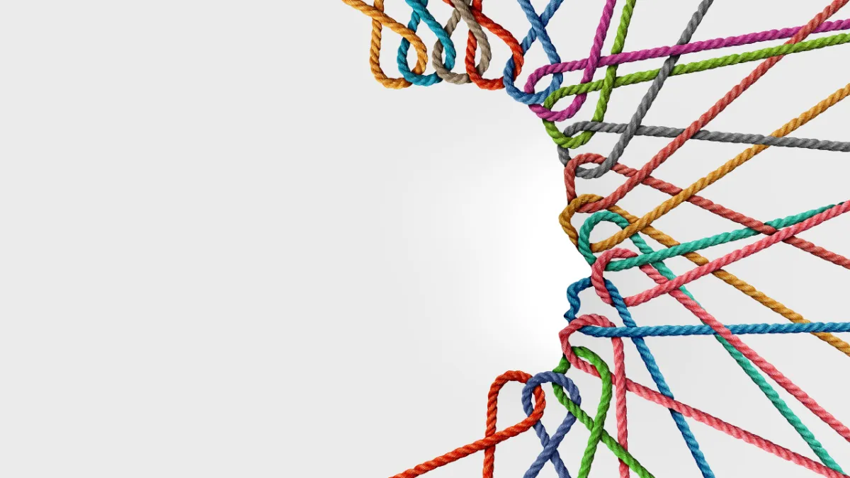 Multiple colorful ropes in orange, blue, red, green, pink, and gray intertwined and knotted together on white background, representing the complex interconnection of Mind, Body, and Business dimensions in holistic workplace performance and the productivity paradox of fragmented versus integrated approaches.