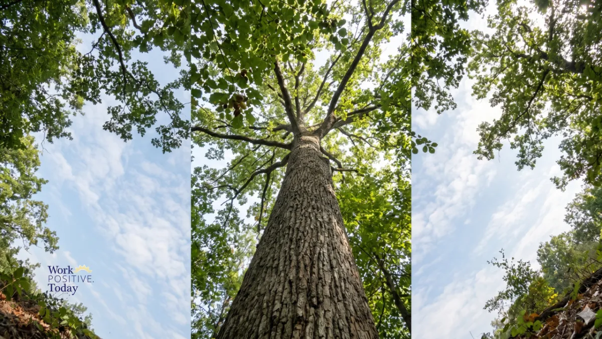 Core Essentials That Actually Reach for the Sky