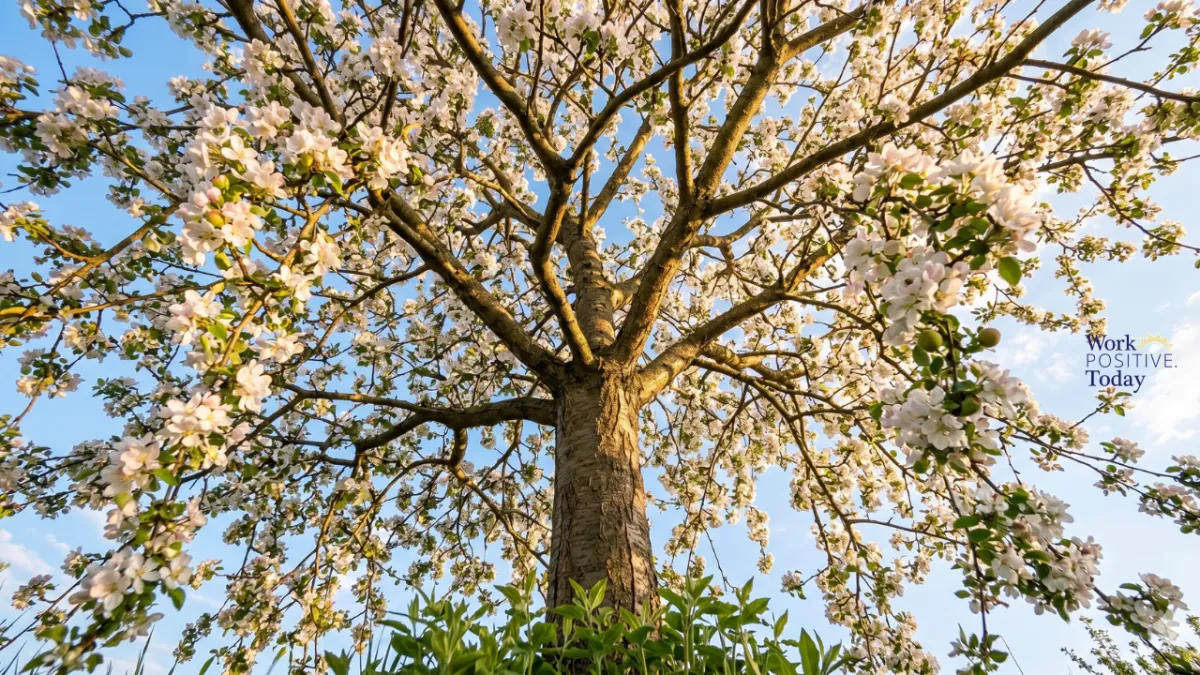 Permission to Feel, Fail, Fly, and Bear Fruit