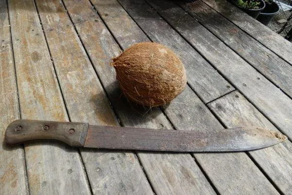 A whole coconut next to a machete