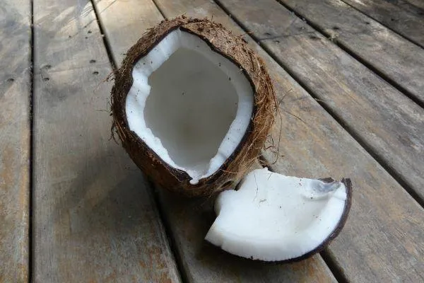 A freshly cracked coconut on a deck