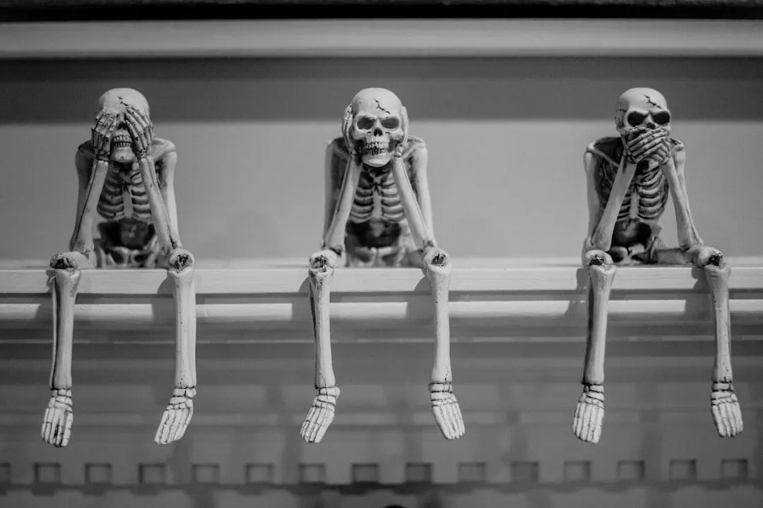 Dissecting Claude Code- The Skeleton