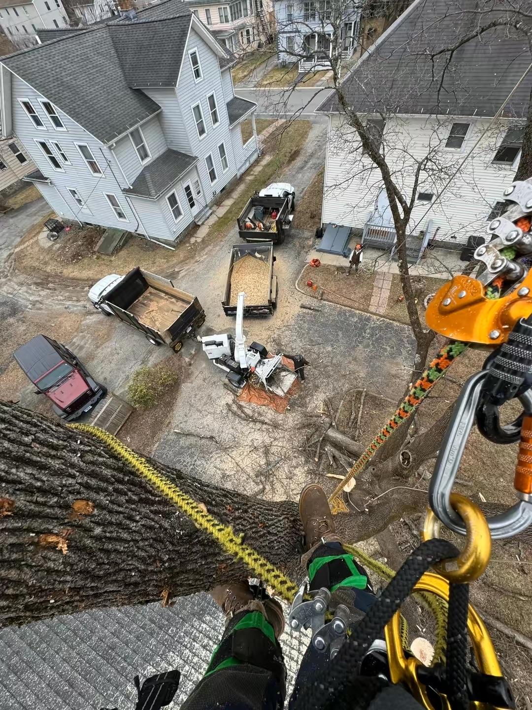 Landscaping & Tree Services New Milford, CT