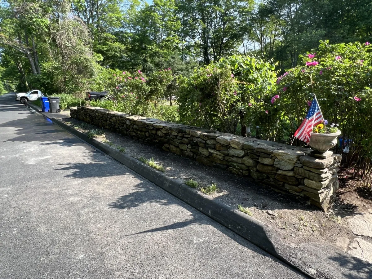 New Fairfield, CT Tree Removal & Pruning