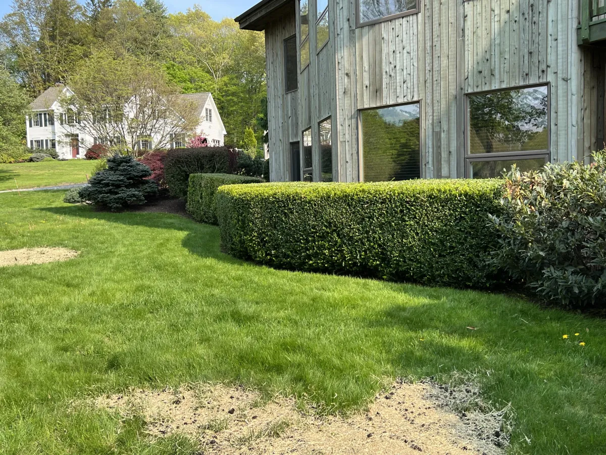 Spring & Fall Cleanups in New Milford, CT