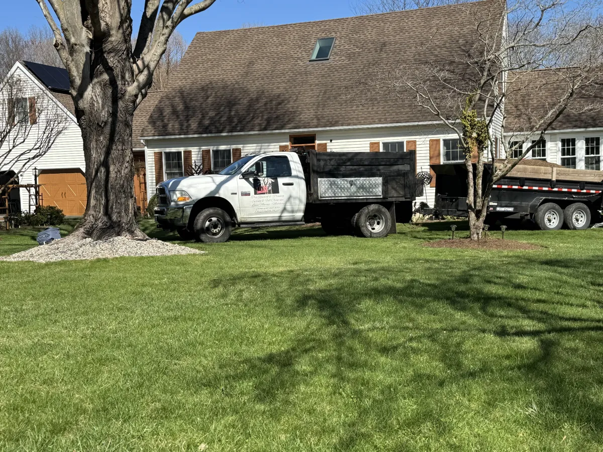 Brookfield, CT Tree Removal & Pruning