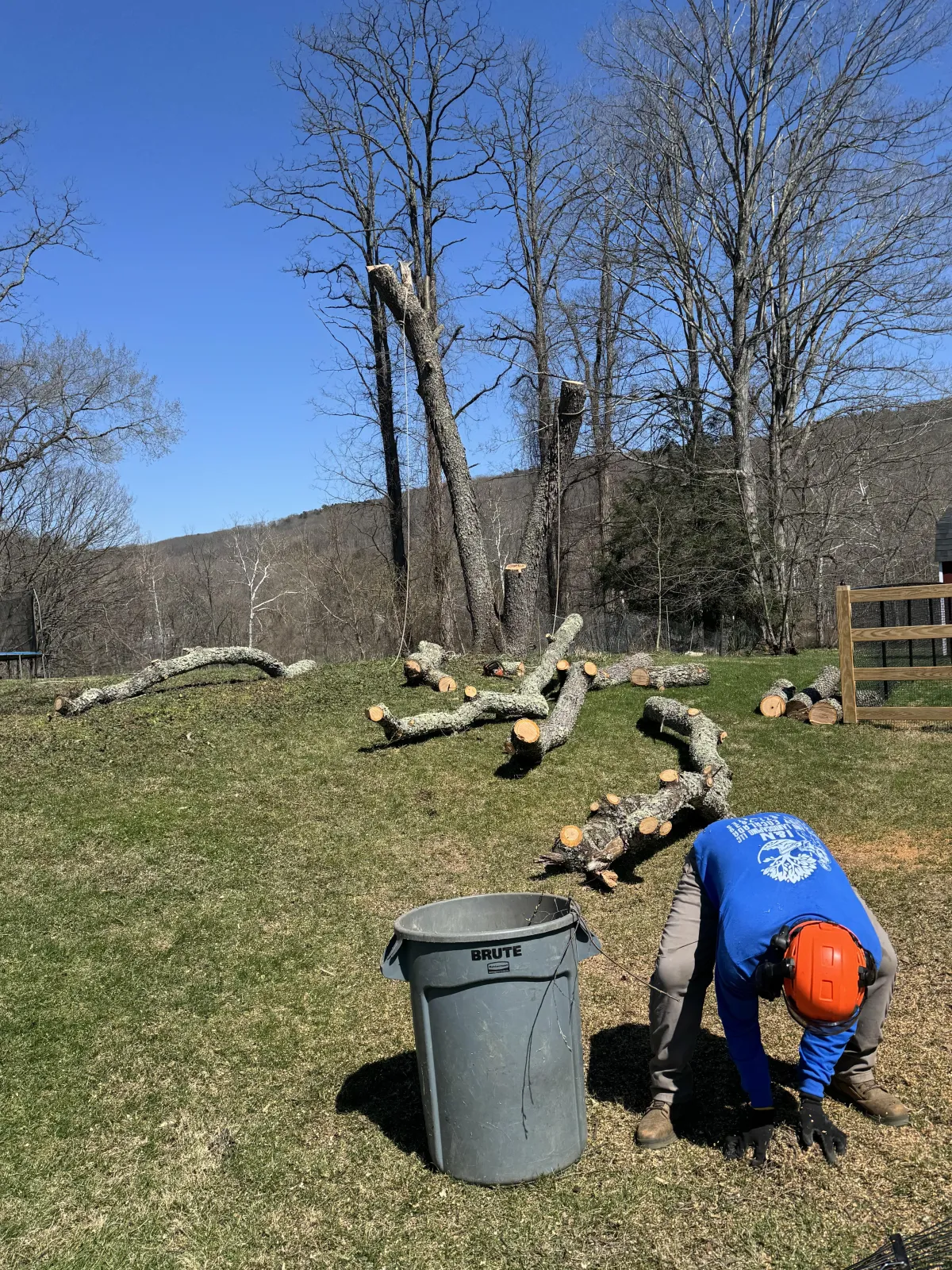 {{ custom_values.service_1 }} in {{custom_values.biz_area_1})