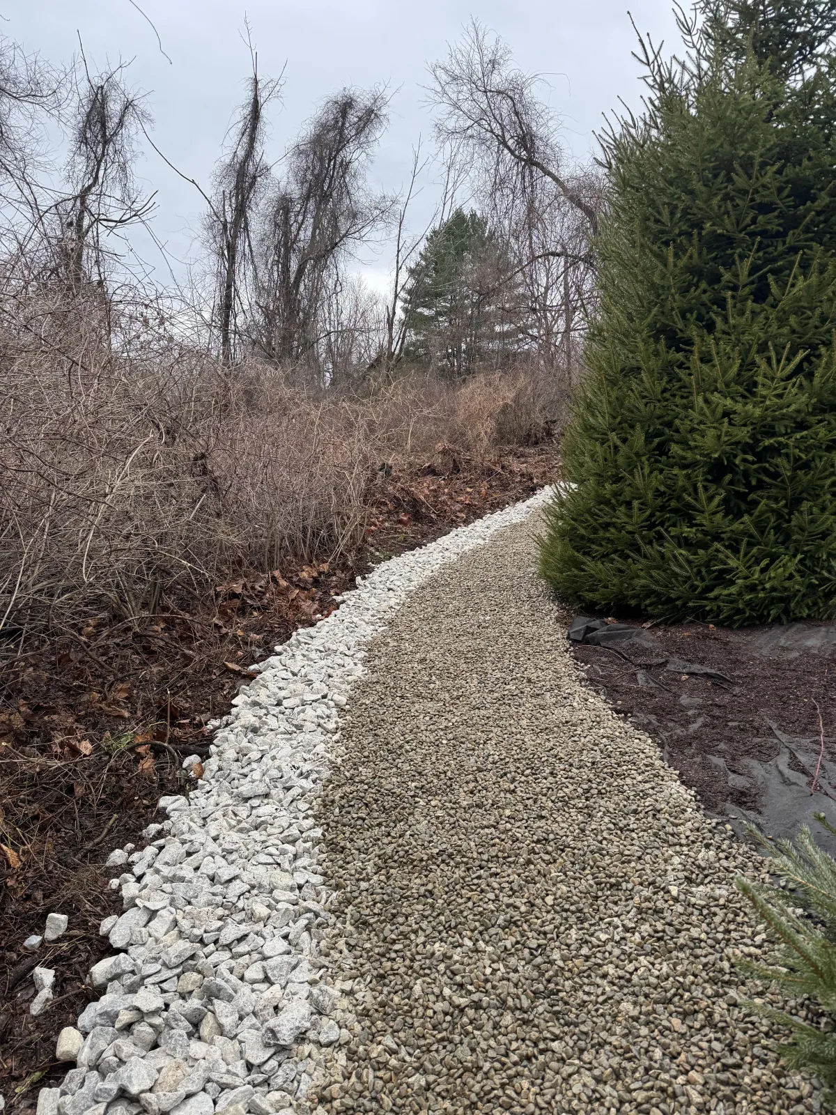 Danbury, CT Top Soil & Seeding