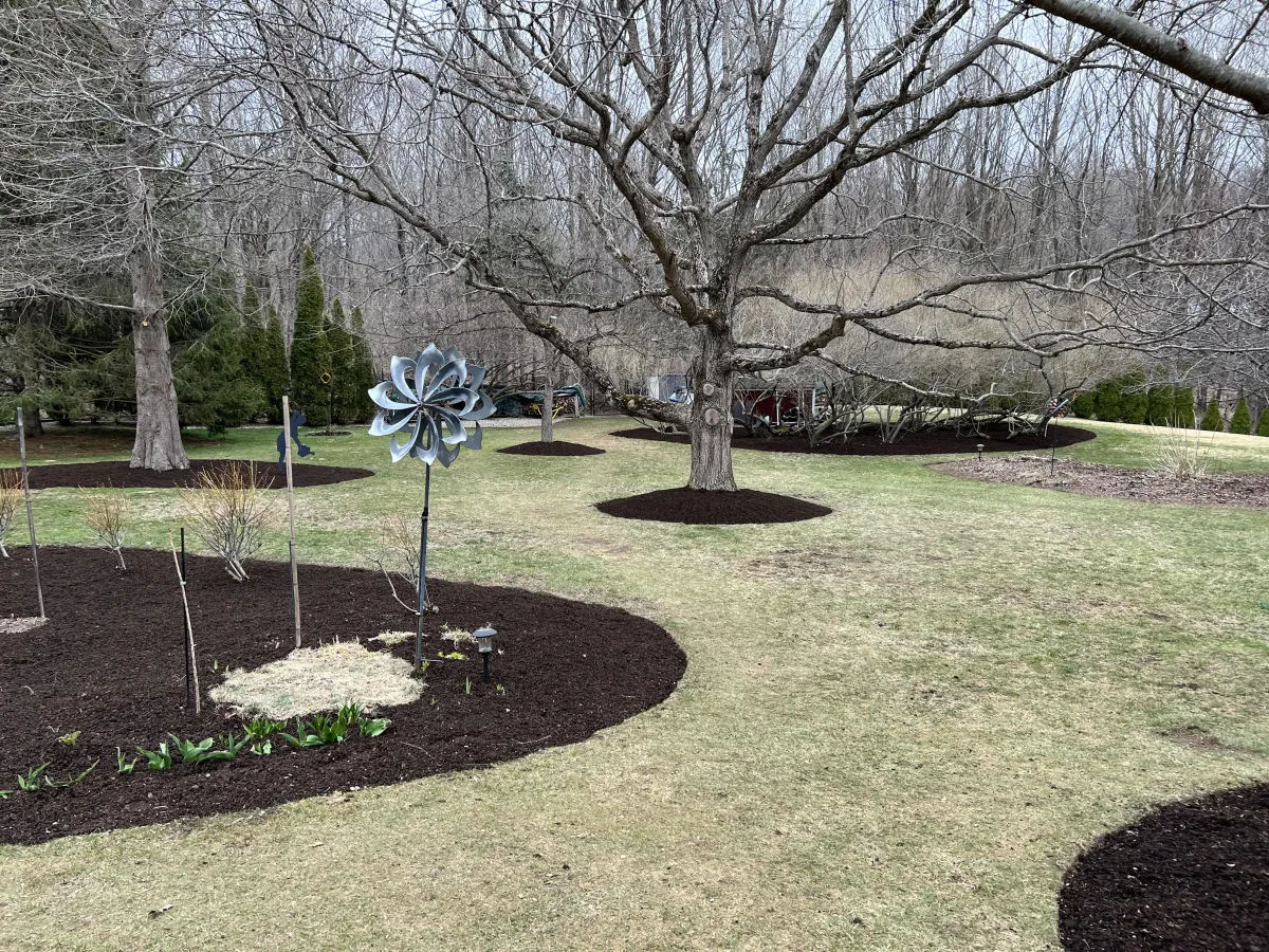 Tree Removal & Pruning New Milford, CT