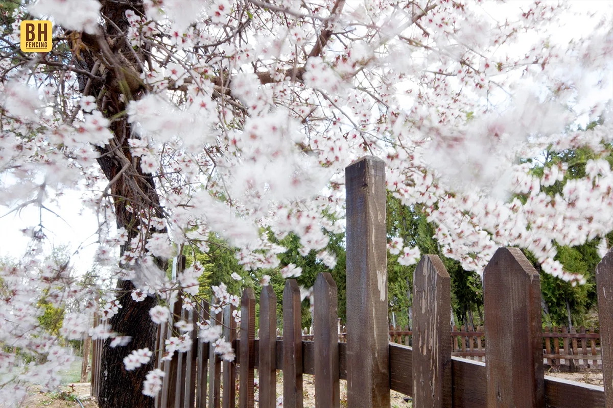 Spring Fence Installations in Ontario: What Changes After the Ground Thaws  & How to Avoid Costly Mistakes