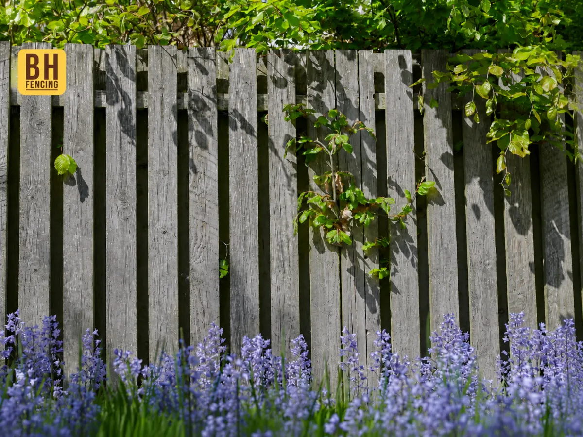 Is Your Fence Vacation-Ready? Don’t Leave Your Yard to Chance