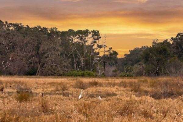 A Local's Guide to Ponte Vedra Beach: Best-Kept-Secret Spots