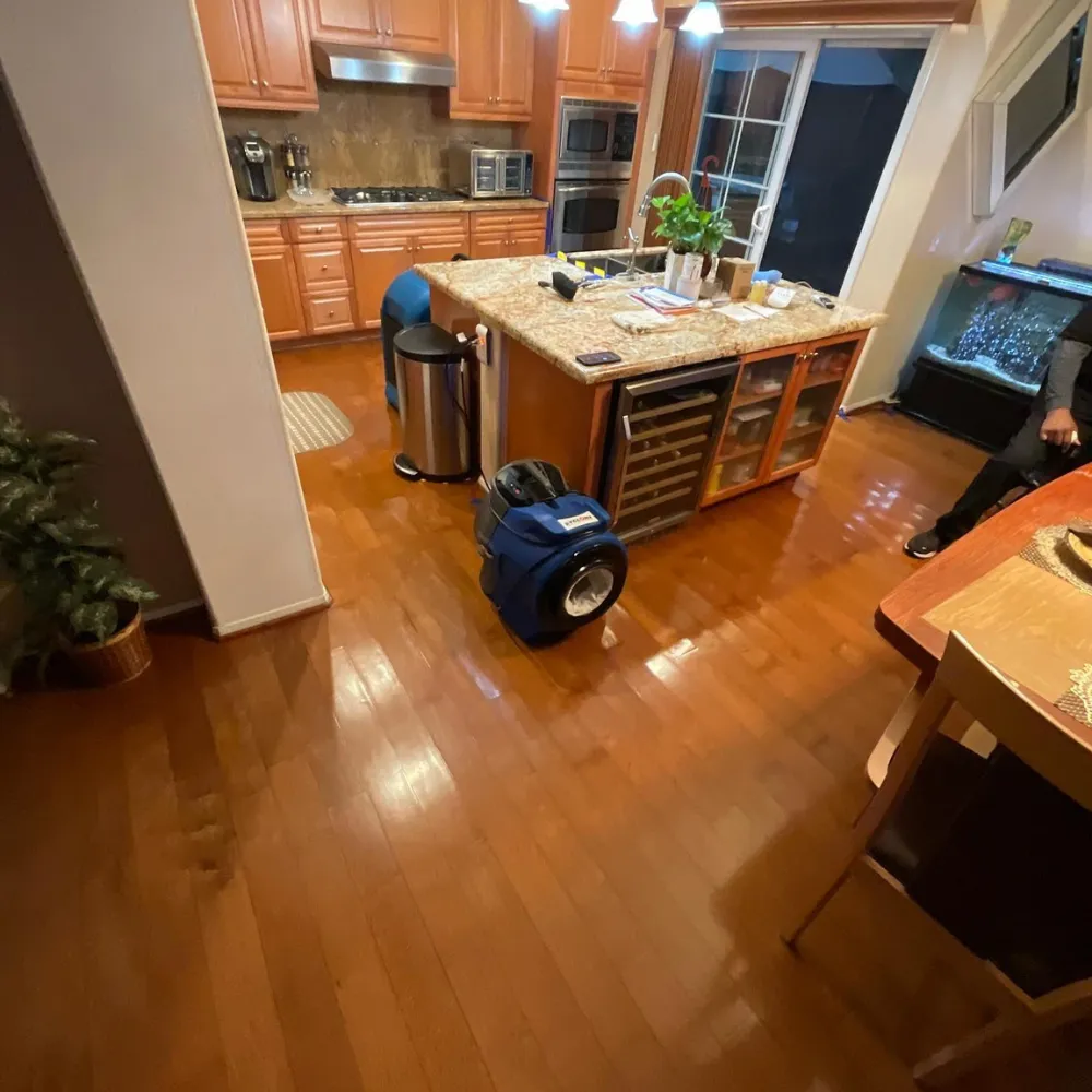 Water damage restoration in progress in a Long Beach kitchen with hardwood floors being dried by What's Next Emergency Response