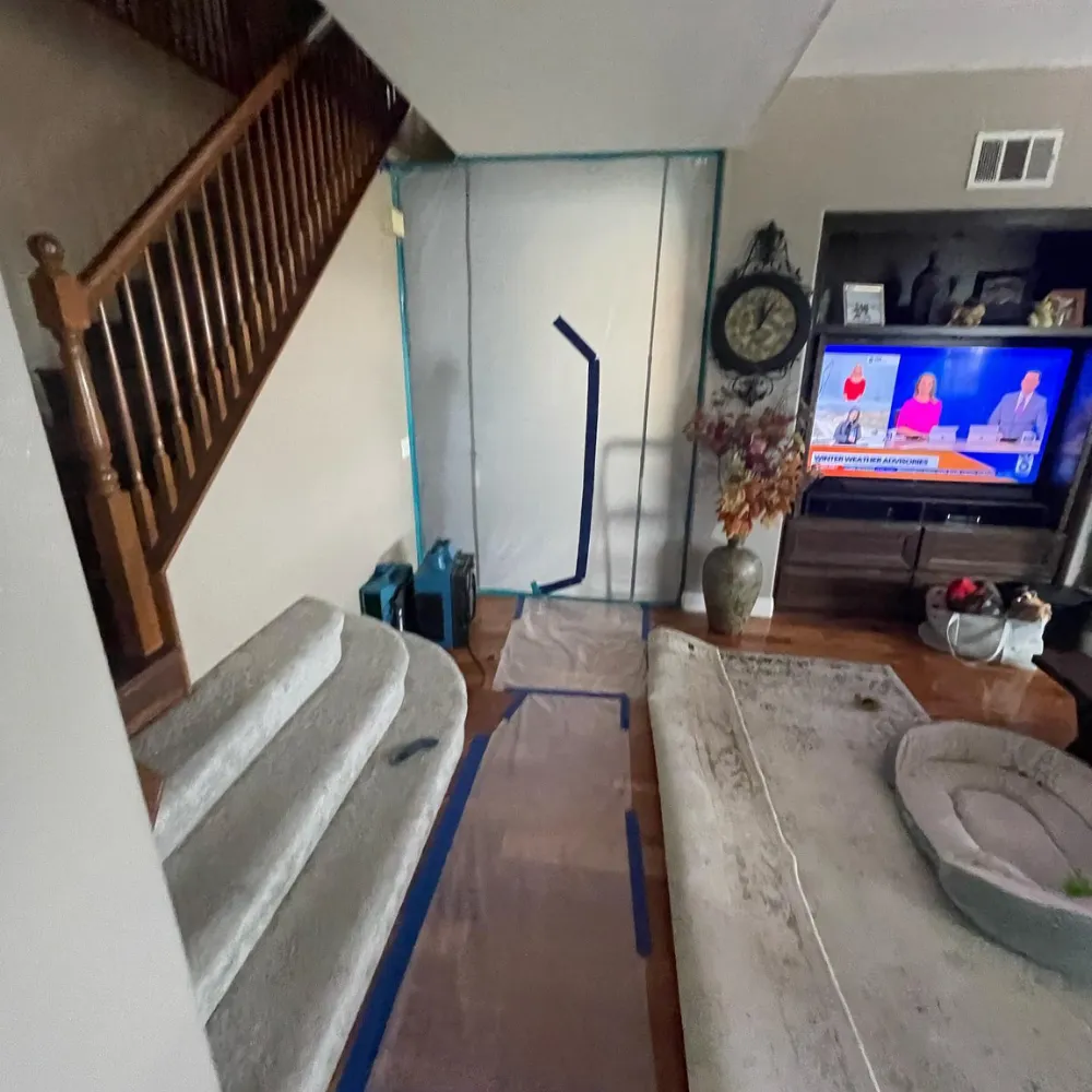 restoration service areas long beach socal