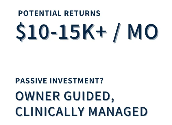 potential returns, $10-15k+ per month, fully passive?  mostly