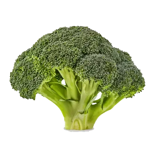 Brocolli - Flowers Market