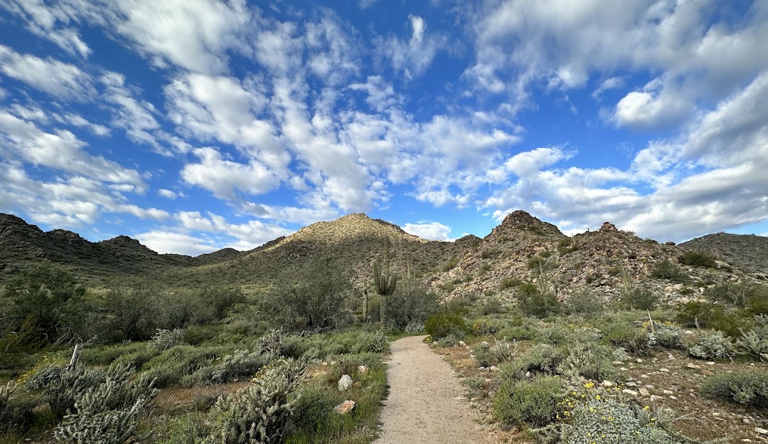 Sundance Buckeye Buyer's Guide: Schools, Amenities, and Price Ranges in 2026