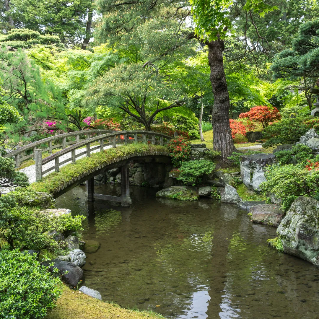 Kyoto Japan