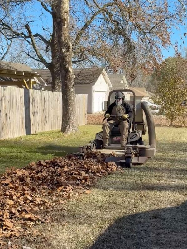 Leaf Cleanup in Cabot, AR