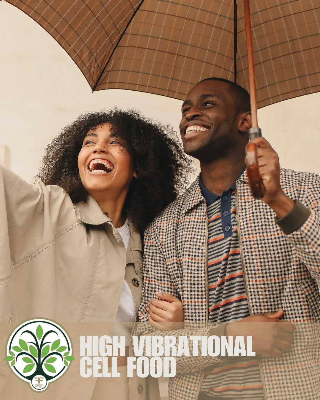 high vibrational nutrition, marine phytoplankton, chia seed, moringa oleifera 
